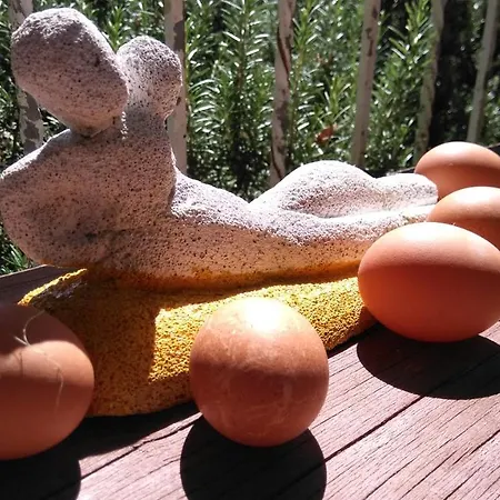 Appartement Casa Civetta