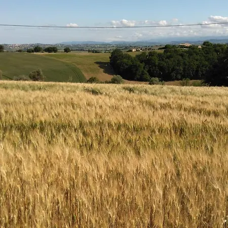 Casa Civetta Appartement *