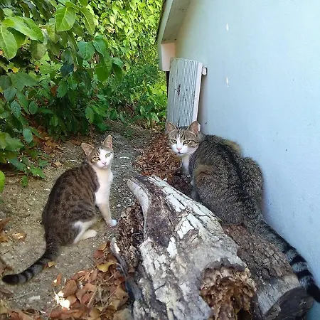 Casa Civetta * Castel Colonna